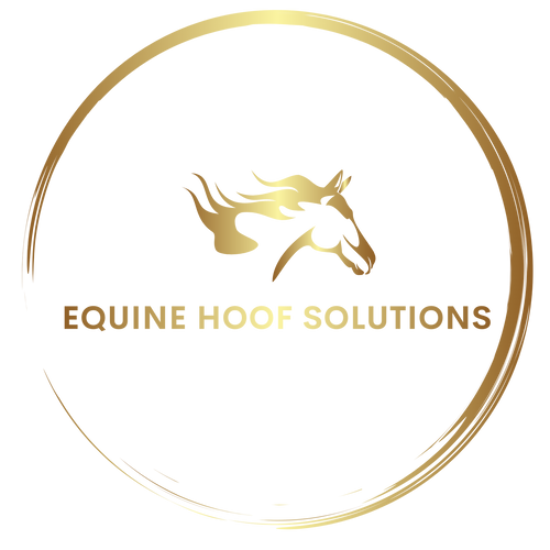 シオリー　テディハグ　2脚目 Duplo Composite Horseshoes USA – EQUINE HOOF SOLUTIONS