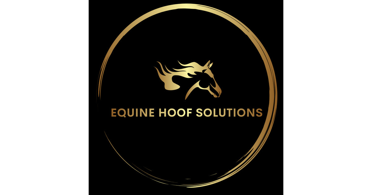Duplo Composite Horseshoes USAN EQUINE HOOF SOLUTIONS